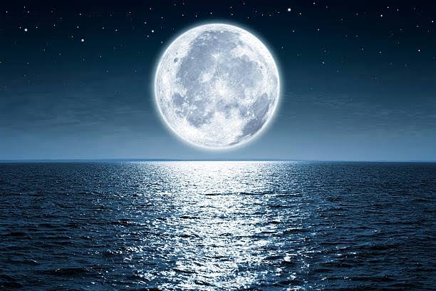 JOYS OF THE MOONLIGHT