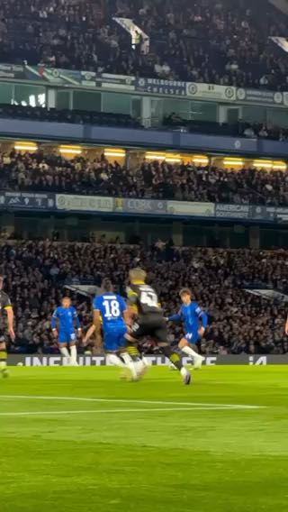 
Pitchside views.
cc: chelseafc
#sports