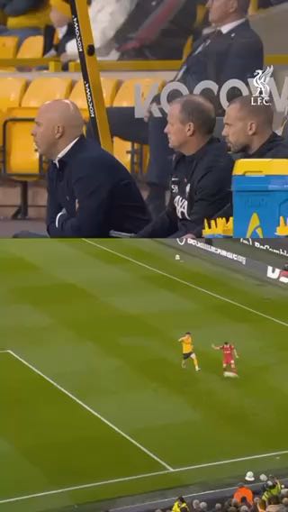  Celebrations from the dugout
cc: liverpoolfc
#sports