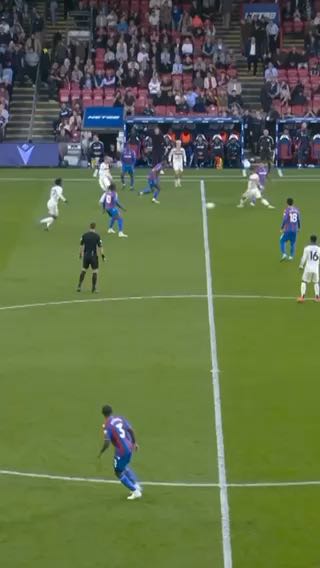  Silky
cc: cpfc
#sports