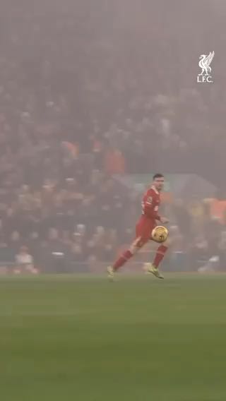  Magnificent
cc: liverpoolfc
#sports