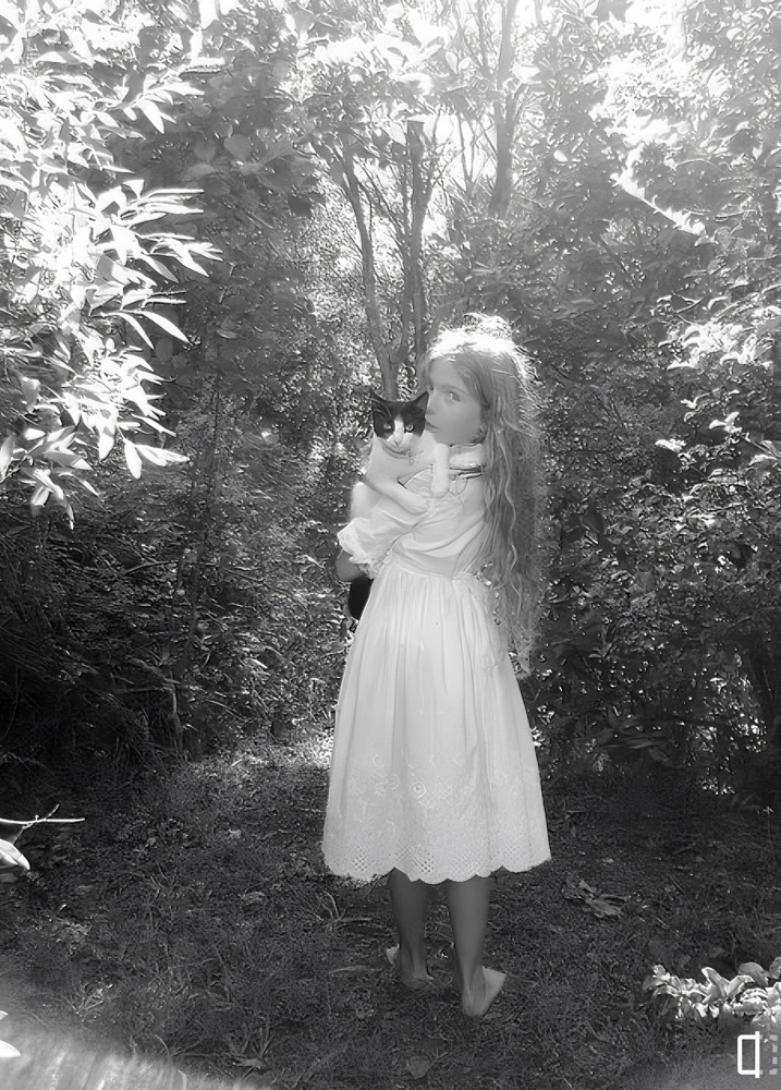 6-Year-Old Resurrects Pet Cat From The Dead But Mother Ends The Cat’s Life