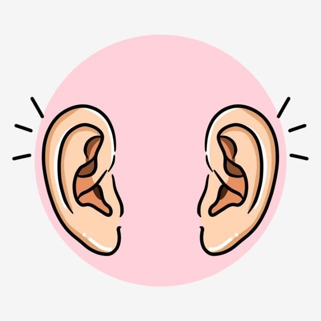 Ears
