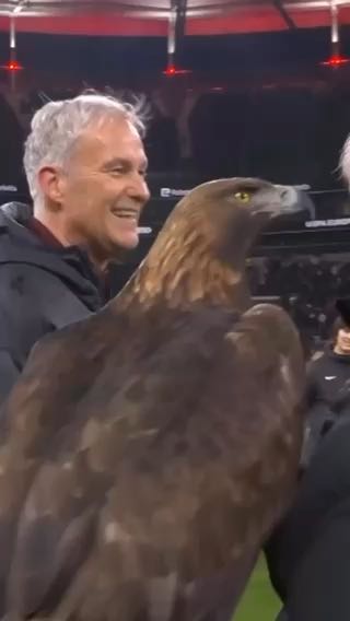 smooth
cc: europaleague
#sports