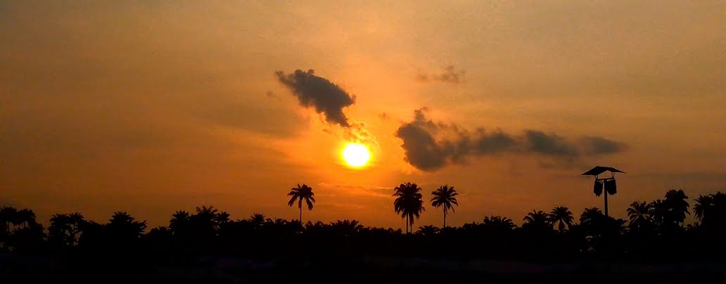The African Evening Sun
