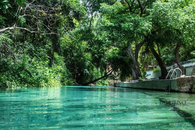 Yankari National Park: A Haven of Natural Beauty and Wildlife