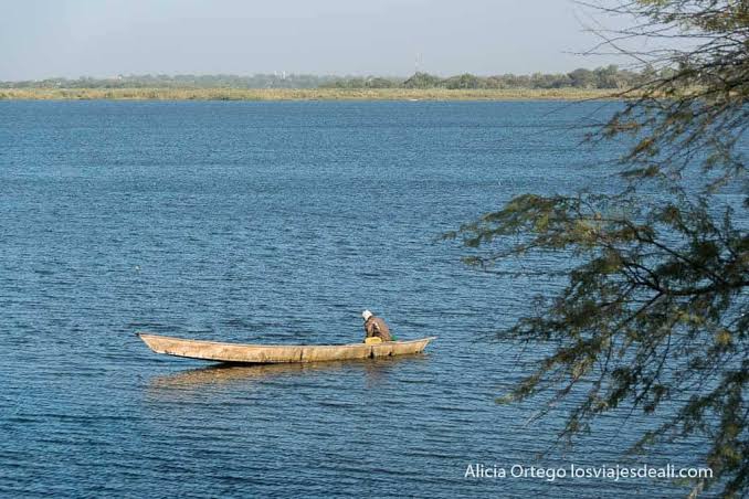 Explore the Beauty of Chad Basin National Park: Nigeria’s Wildlife and Cultural Site that cut across 3 Northeast states.