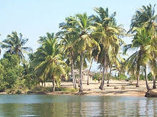Ada Foah: Where the River Meets the Sea