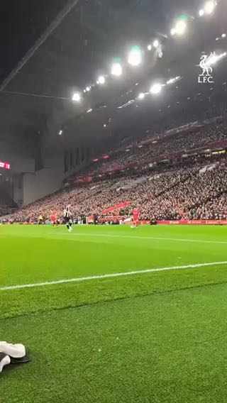  The pitchside view as Szobo opened the