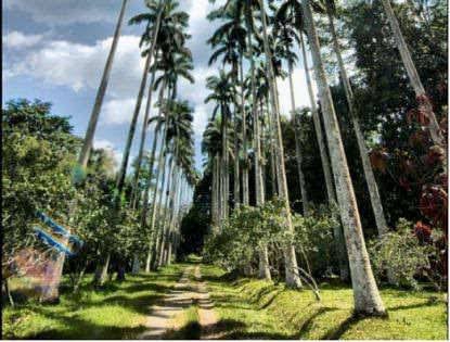 BUNSO ECO PARK – AN ADVENTURE IN NATURE