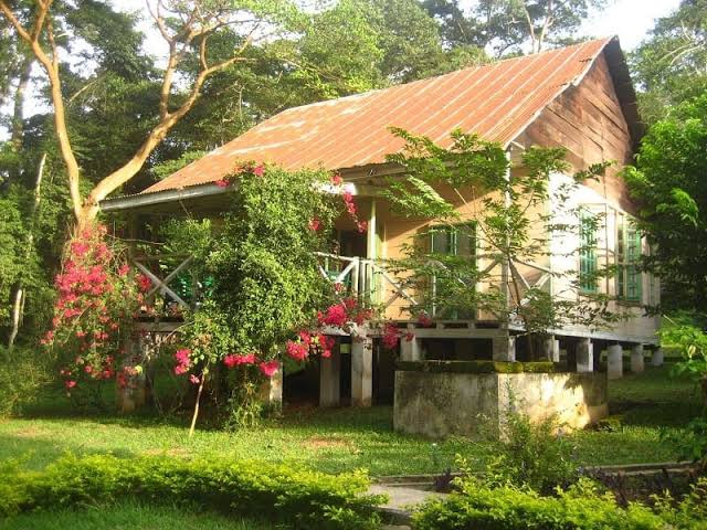 Bobiri Forest and Butterfly Sanctuary: A Hidden Paradise for Nature Lovers