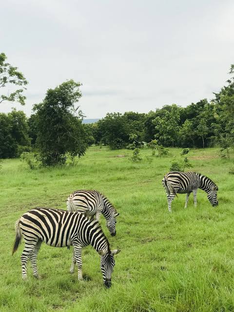 Shai Hills Resource Reserve: Where Wildlife Meets Ancient Culture