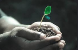 BE THE CHANGE YOU SEEK