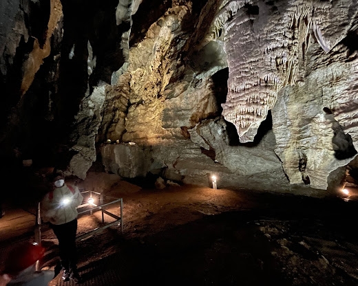Sterkfontein Caves: The Cradle of Humankind’s Fossil Treasure Trove