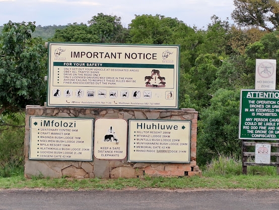 Hluhluwe-iMfolozi Park: The Oldest Game Reserve in Africa