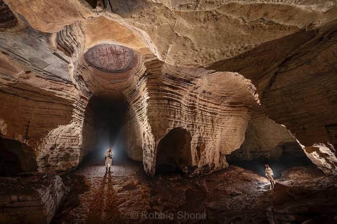 Gladysvale Cave: A Window into Early Hominin Life