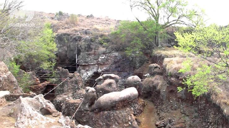 Swartkrans: A Crucial Piece in the Puzzle of Human Evolution