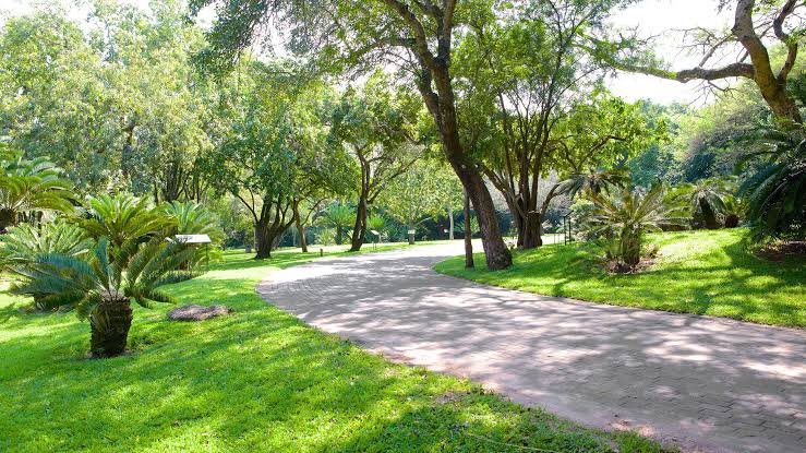 Lowveld National Botanical Garden: A Tropical Paradise in Mpumalanga