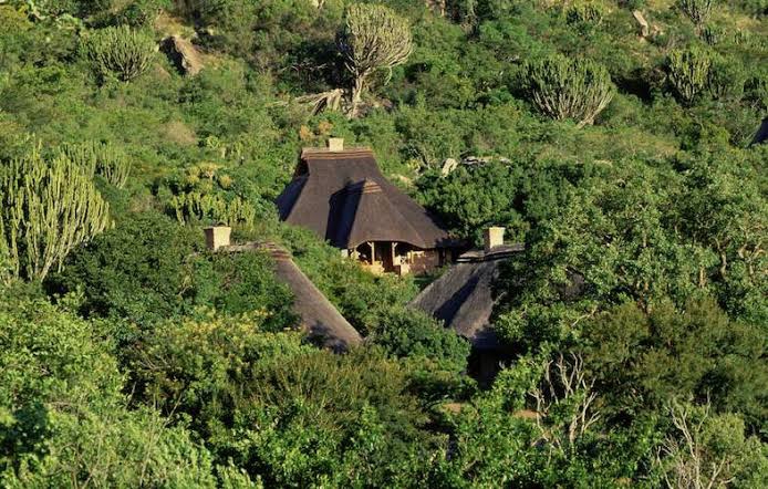 Ithala Game Reserve: A Hidden Wilderness in KwaZulu-Natal