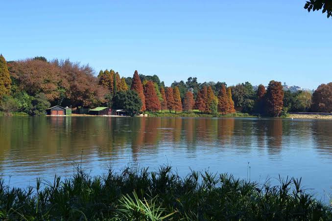 Emmarentia Dam & Johannesburg Botanical Gardens: A Green Oasis in the Heart of Johannesburg