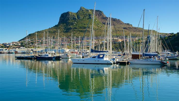 Hout Bay Harbour: A Bustling Seaside Gem on the Cape Peninsula