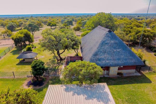 Dinokeng Game Reserve: A Big 5 Safari Near Pretoria