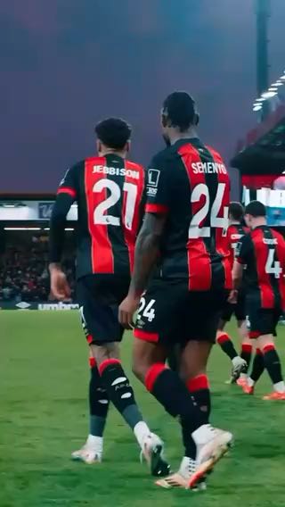 A plethora of celebrations for the cameras