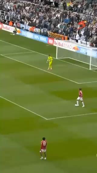  Who's cursed Man Utd's goalkeepers
cc:dstvnigeria
#sports