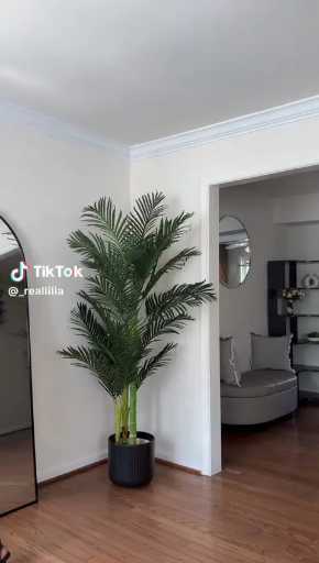 Spring outfits ideas 

Cc: Reallilia 

Follow our