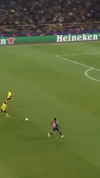  The first shark attack recorded in Dortmund