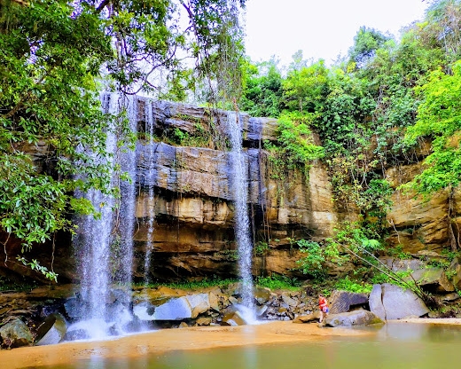 Shimba Hills Forest – Kenya’s Coastal Rainforest Sanctuary