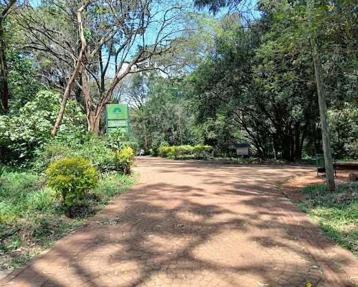Nairobi Arboretum: A Green Retreat in Nairobi's Heart