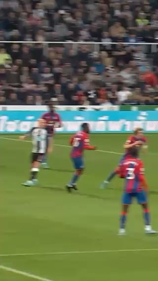  Beautiful
cc: nufc
#sports