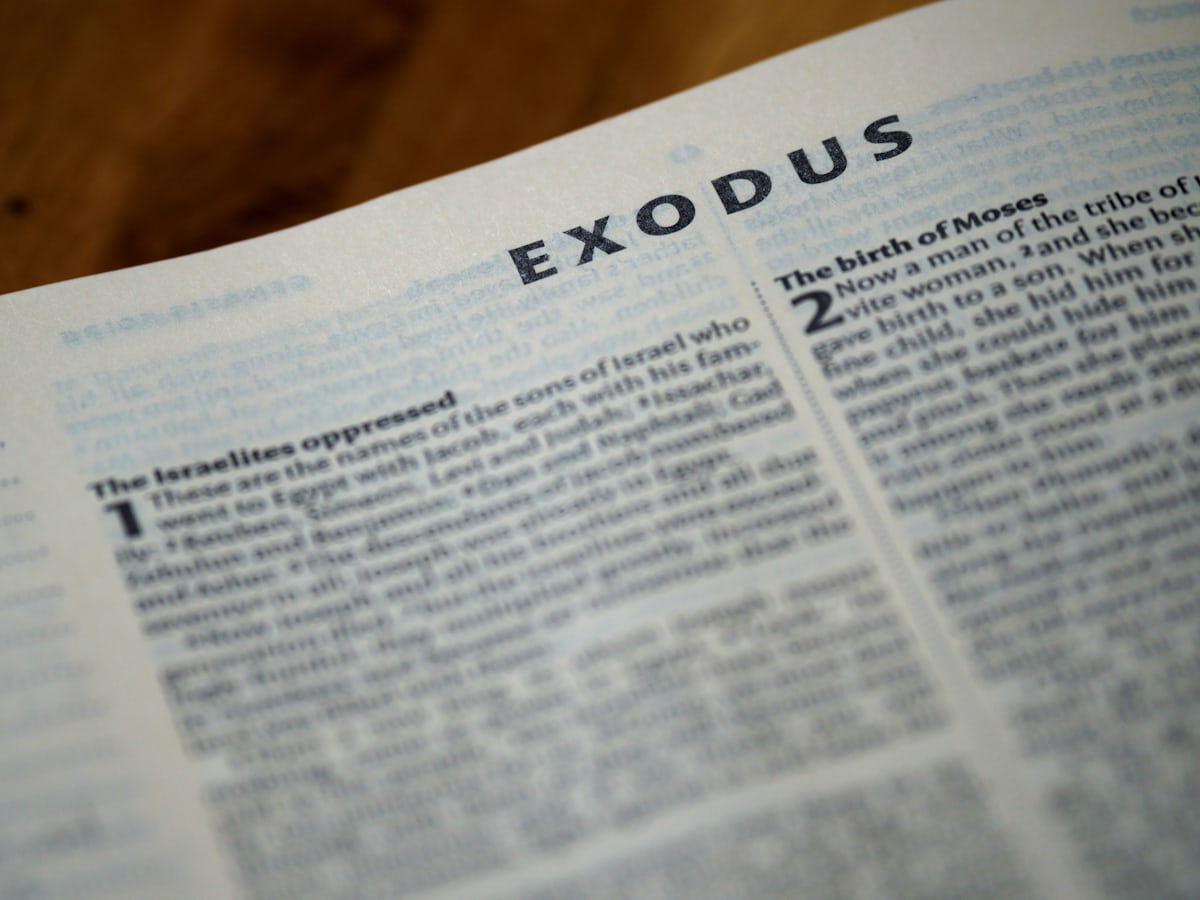Faith Based Confessions (Exodus)