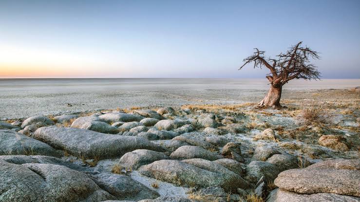 Makgadikgadi Pans – Botswana’s Stunning Salt Flats and Wildlife Wonder