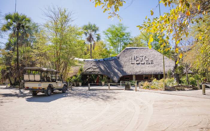 Nata Bird Sanctuary: Botswana’s Avian Paradise on the Salt Flats