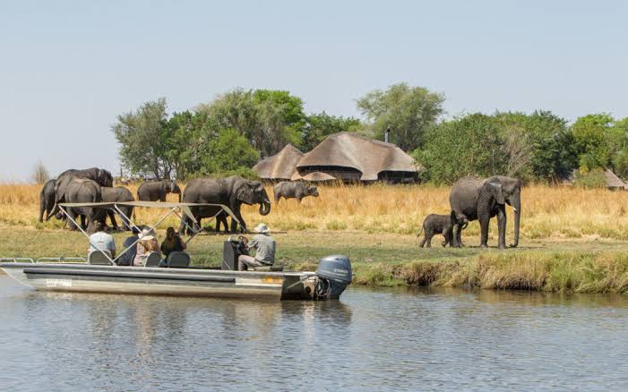 Chobe Riverfront: Botswana’s River Safari Wonderland