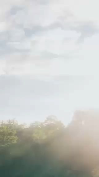 Macho Power – Strength. Stamina. Supremacy.

Category: